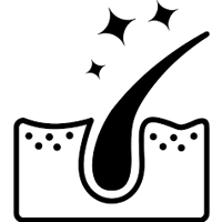 Hair Care/Treatment in Palakkad